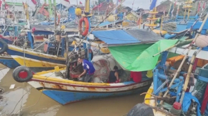 Untuk Tutupi Defisit Pemprov Datangkan Ikan Dari Cirebon