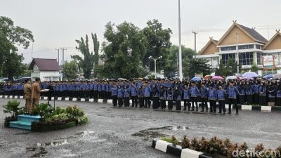 Perbedaan PPPK dan PPPK Paruh Waktu 2026, Gaji hingga Tunjangan